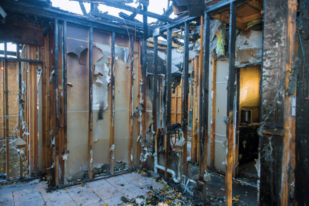 Professional Smoke Damage Restoration technician working in Glyndon, MD